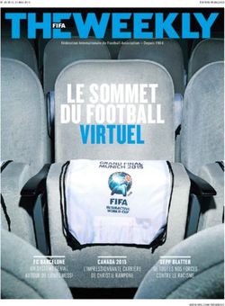 LE SOMMET DU FOOTBALL VIRTUEL