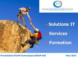 Solutions IT Services Formation - Presentation SYLAM Technologies GROUP SAS