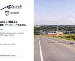 Projets de r&egrave;glement num&eacute;ros 255-19 et 256-19 11 novembre 2019 - 70% - Directeur du Service de l'urbanisme et des communications ...