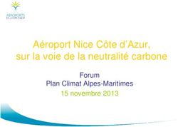 A&eacute;roport Nice C&ocirc;te d'Azur, sur la voie de la neutralit&eacute; carbone - Forum Plan Climat Alpes-Maritimes 15 novembre 2013