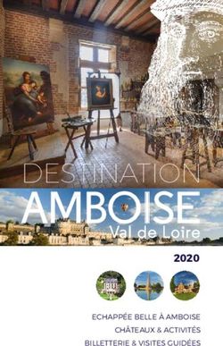 DESTINATION 2020 ECHAPPÉE BELLE À AMBOISE CHÂTEAUX & ACTIVITÉS BILLETTERIE & VISITES GUIDÉES