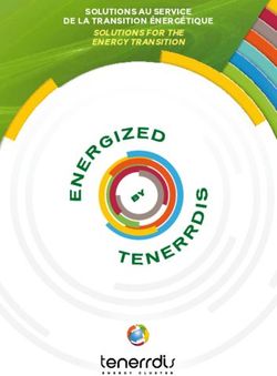 SOLUTIONS AU SERVICE DE LA TRANSITION ÉNERGÉTIQUE SOLUTIONS FOR THE ENERGY TRANSITION - Tenerrdis