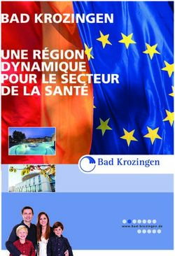 BAD KROZINGEN UNE RÉGION DYNAMIQUE POUR LE SECTEUR DE LA SANTÉ - Bad Krozingen