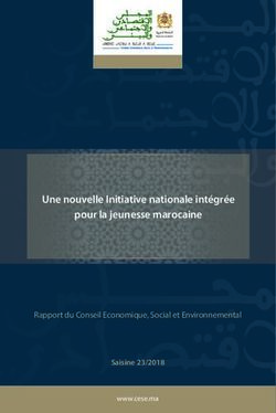 Une nouvelle Initiative nationale intégrée pour la jeunesse marocaine - Rapport du Conseil Economique, Social et Environnemental - CESE