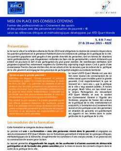 MISE EN PLACE DES CONSEILS CITOYENS