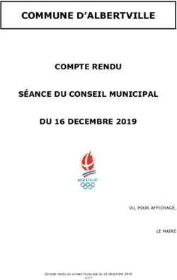 COMMUNE D'ALBERTVILLE - COMPTE RENDU S&Eacute;ANCE DU CONSEIL MUNICIPAL DU 16 DECEMBRE 2019