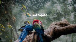 COMMUNIQUER SUR FACEBOOK - MINI LIVRE BLANC DIGITAL DES ACTEURS DU VOYAGE - Travel Insight