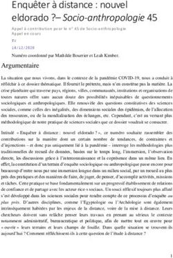 Enquêter à distance : nouvel eldorado ?- Socio-anthropologie 45