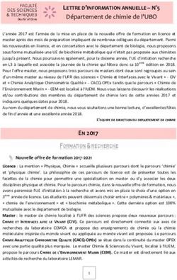 LETTRE D'INFORMATION ANNUELLE - N 5 - Département de chimie de l'UBO - Université de ...