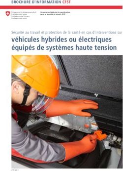 Véhicules hybrides ou électriques équipés de systèmes haute tension