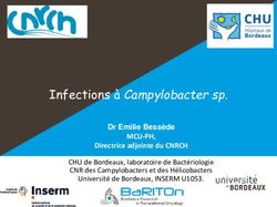 Infections à Campylobacter sp - MCU-PH, Directrice adjointe du CNRCH Dr Emilie Bessède - Col.BVH