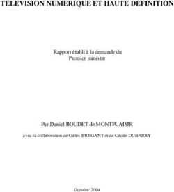 TELEVISION NUMERIQUE ET HAUTE DEFINITION - Rapport établi à la demande du Premier ministre Par Daniel BOUDET de MONTPLAISIR