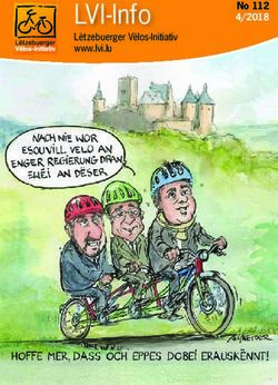 LVI-Info No 112 4/2018 - L&euml;tzebuerger V&euml;los-Initiativ