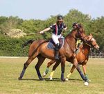 PONY-GAMES HORSE-BALL TIR À L'ARC À CHEVAL PADDOCK POLO - FFE