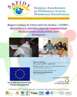 RÉSULTATS ET CONSTATS ISSUS DE L'OBSERVATION DES ÉLECTIONS LÉGISLATIVES 2019