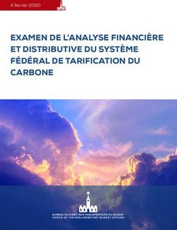 EXAMEN DE L'ANALYSE FINANCIÈRE ET DISTRIBUTIVE DU SYSTÈME FÉDÉRAL DE TARIFICATION DU CARBONE - 4 février 2020