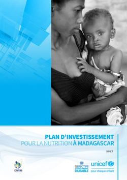 PLAN D'INVESTISSEMENT - POUR LA NUTRITION À MADAGASCAR 2017 - UNICEF