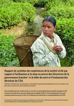 Rapport de synth&egrave;se des exp&eacute;riences de la soci&eacute;t&eacute; civile par rapport &agrave; l'utilisation et la mise en oeuvre des Directives de la gouvernance ...