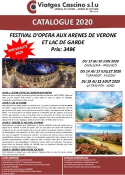 CATALOGUE 2020 FESTIVAL D'OPERA AUX ARENES DE VERONE ET LAC DE GARDE - Viatges Cascino