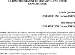 LE FONCTIONNEMENT DE SESAMATH : UNE ETUDE EXPLORATOIRE