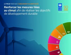 Renforcer les mesures liées au climat afin de réaliser les objectifs de développement durable - UNDP
