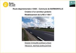 PIECE B : NOTICE EXPLICATIVE - Route départementale n 2020 - Commune de BARMAINVILLE Création d'un carrefour giratoire Rétablissement de la RD n 109-7