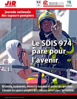 Le SDIS 974 paré pour l'avenir
