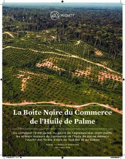 La Boite Noire du Commerce de l'Huile de Palme - Mighty Earth