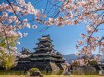 Découverte du Japon au temps des cerisiers en fleurs Circuit terrestre - Voyage Louise Drouin