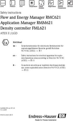 Flow and Energy Manager RMC621 Application Manager RMM621 Density controller FML621
