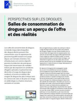 Salles de consommation de drogues: un aper&ccedil;u de l'offre et des r&eacute;alit&eacute;s - europa.eu