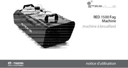 RED 1500 Fog Machine machine &agrave; brouillard notice d'utilisation