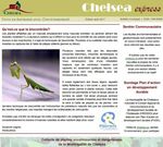 PLAN D'ACTION EN D&Eacute;VELOPPEMENT DURABLE - Municipalit&eacute; de Chelsea 2018-2021 - Municipalit&eacute; de ...