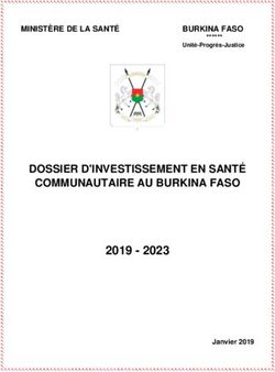 DOSSIER D'INVESTISSEMENT EN SANT&Eacute; COMMUNAUTAIRE AU BURKINA FASO 2019 - 2023 - MINIST&Egrave;RE DE LA SANT&Eacute; - Management Sciences for Health