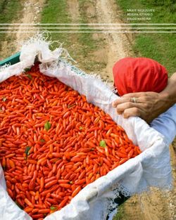 MARIE MCAULIFFE ADRIAN KITIMBO BINOD KHADRIA - IOM Publications