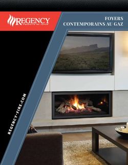 FOYERS CONTEMPORAINS AU GAZ - e.c fir y