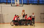 Saint-herblain basket-club section handibasket - LE PROJET 2014 2017