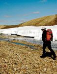 Aulavik Plan directeur 2012 - Parcs ...