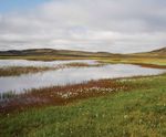 Aulavik Plan directeur 2012 - Parcs ...