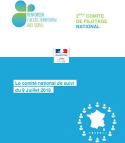DE PILOTAGE NATIONAL 2ème COMITE - Le comité national de suivi du 9 Juillet 2018 - Réseau Hôpital & GHT