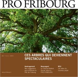 CES ARBRES QUI DEVIENNENT SPECTACULAIRES - BCU Les aléas du nouveau projet - Pro Fribourg