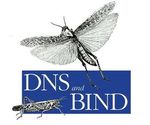Administration R&eacute;seau Linux Serveur DNS Bind9 - Installation d'un serveur DNS (Domaine name System) sous Ubuntu Server 12.10