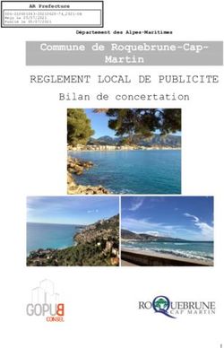 REGLEMENT LOCAL DE PUBLICITE - Commune de Roquebrune-Cap-Martin Bilan de concertation - Roquebrune Cap Martin
