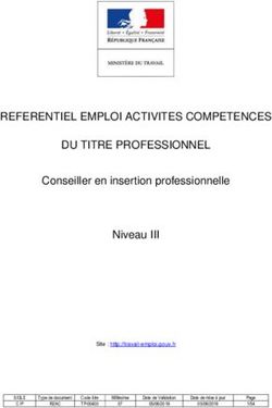 REFERENTIEL EMPLOI ACTIVITES COMPETENCES DU TITRE PROFESSIONNEL