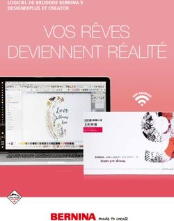 VOS R&Ecirc;VES DEVIENNENT R&Eacute;ALIT&Eacute; - LOGICIEL DE BRODERIE BERNINA 9 DESIGNERPLUS ET CREATOR