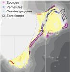 Mesures techniques et &eacute;valuation des risques environnementaux pour la conservation des &eacute;ponges d'eaux profondes