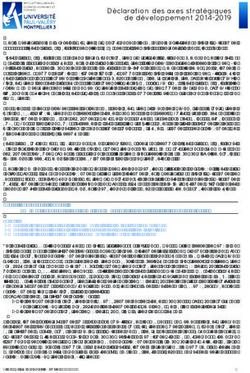 Déclaration des axes stratégiques de développement 2014-2019