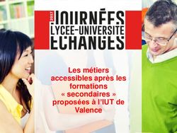 Les métiers accessibles après les formations " secondaires " proposées à l'IUT de Valence