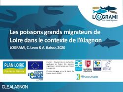 Les Poissons Grands Migrateurs De Loire Dans Le Contexte De L'Alagnon ...