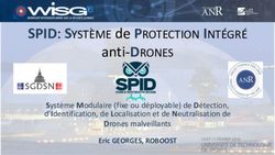 SPID: SYST&Egrave;ME de PROTECTION INT&Eacute;GR&Eacute; - anti-DRONES Syst&egrave;me Modulaire (fixe ou d&eacute;ployable) de D&eacute;tection, d'Identification, de Localisation et de ...